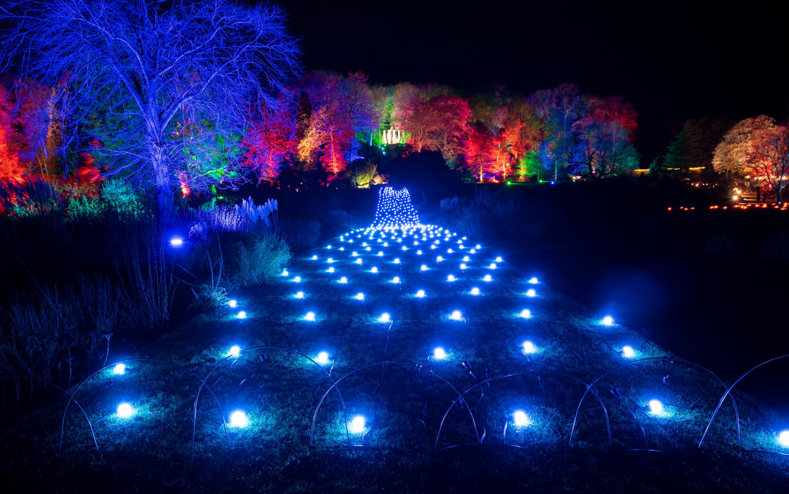 ISSUED ON BEHALF OF  THE RHS - FREE EDITORIAL USAGE......The Glow illuminations trail at RHS Garden Harlow Carr in Harrogate, North Yorkshire,.