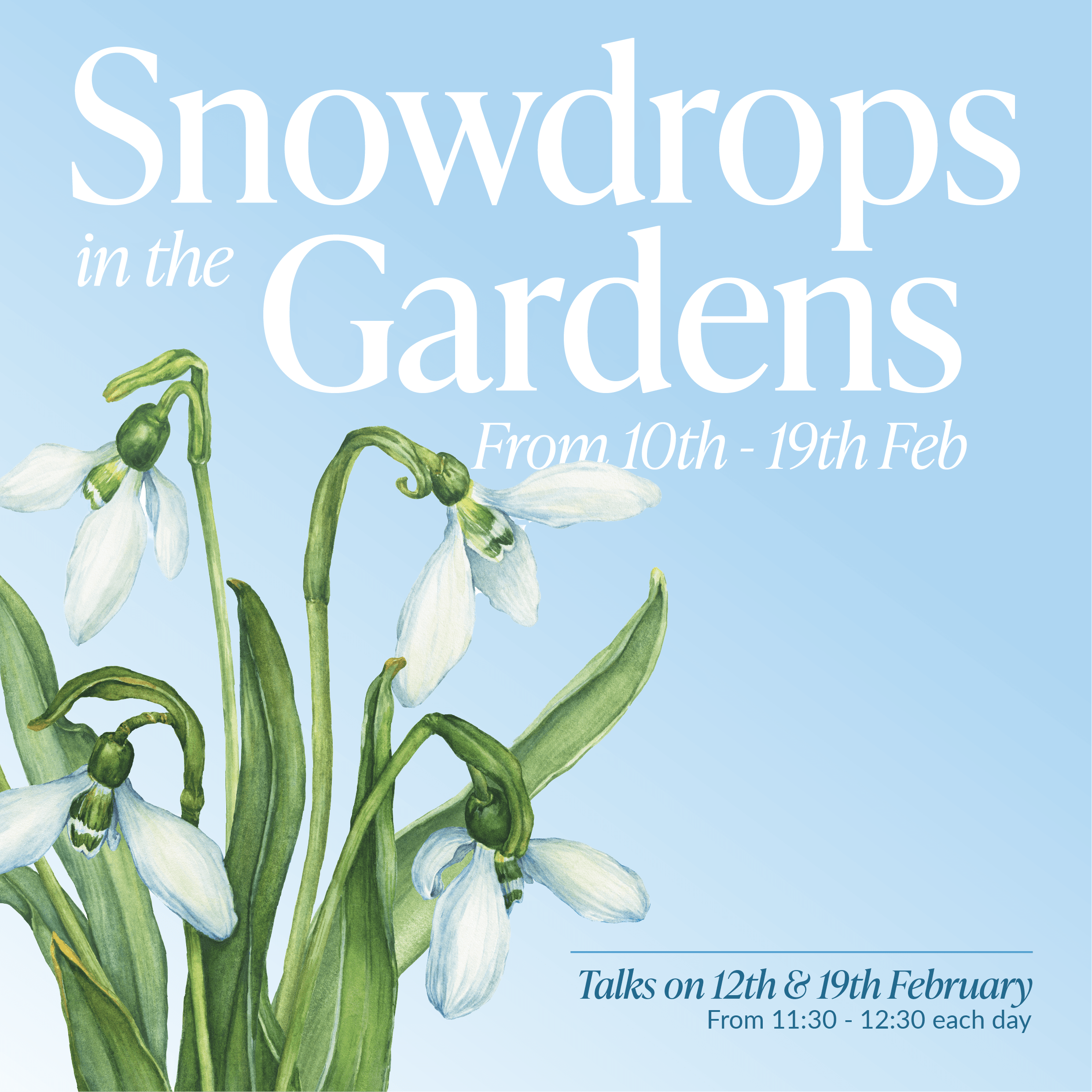 BHG-Snowdrops-Social-Poster-2025