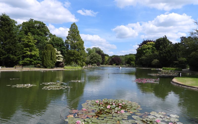 Burnby Hall Gardens - Photograph by Peter Rogers (55)-min