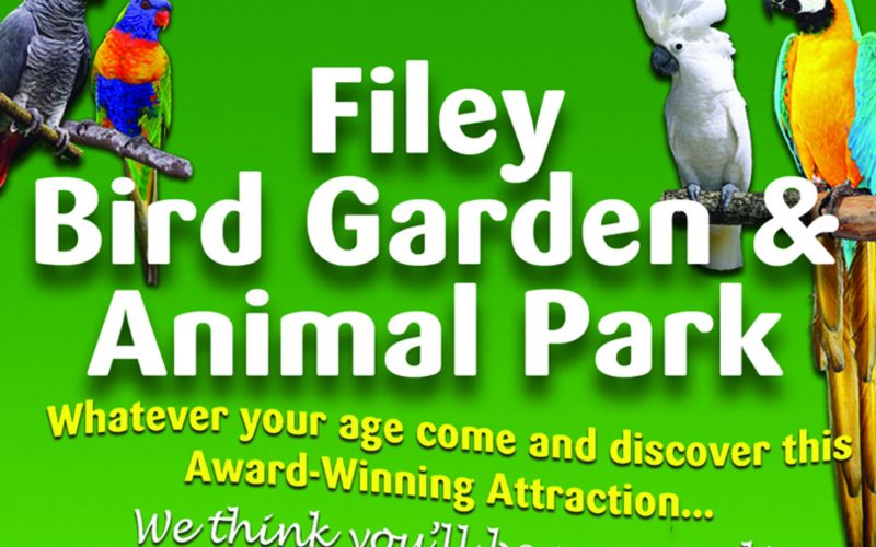 Filey-Bird-Garden-1920x1080.bk-min