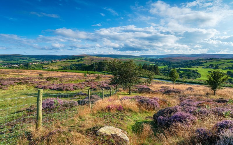 Adrenaline-Pumping Activities in North Yorkshire Moors